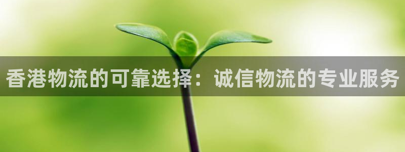 28圈ip被限制怎么解决：香港物流的