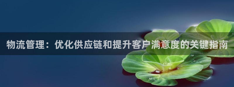 28圈加拿大28：物流管理：优化供应