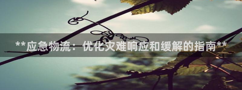 麻将128圈