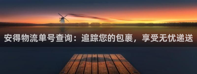 28圈官方官网版：安得物流单号查询：