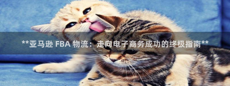 28圈注册网页版：**亚马逊 FBA