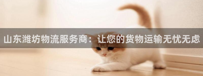 28圈注册限制怎么解除：山东潍坊物流