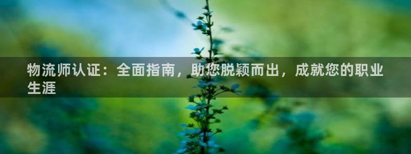 28圈黑不黑：物流师认证：全面指南，