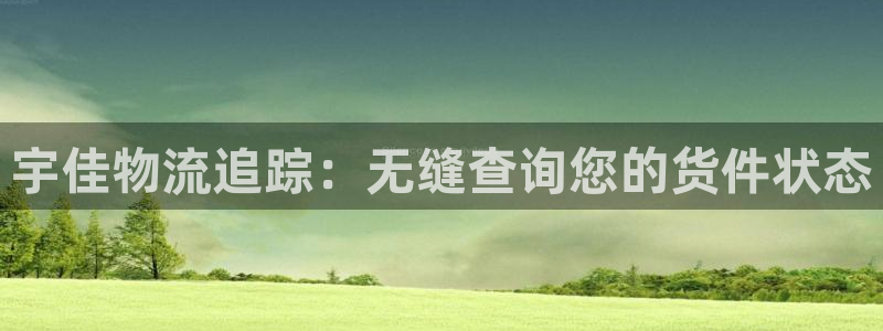 28圈龙虎：宇佳物流追踪：无缝查询您