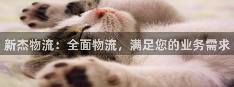 28圈下载链接是多少：新杰物流：全面