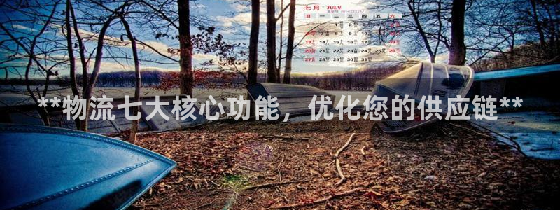 28圈注册网站谁有：**物流七大核心