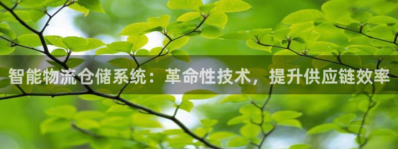 28圈注册链接教程：智能物流仓储系统