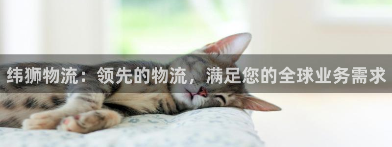 28圈注册流程：纬狮物流：领先的物流