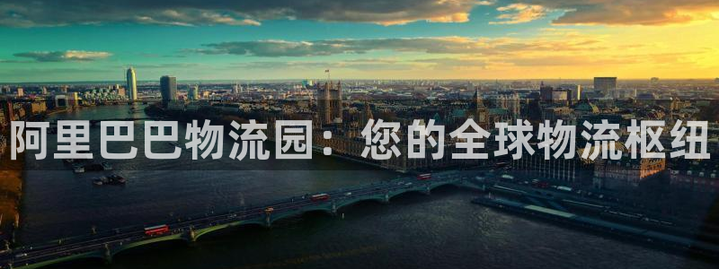 28圈注册网站链接：阿里巴巴物流园：
