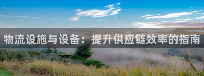 28圈预测：物流设施与设备：提升供应