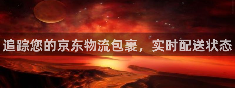 28圈充值不处理怎么办：追踪您的京东