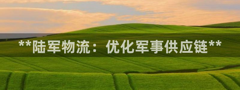 28圈平台注册：**陆军物流：优化军