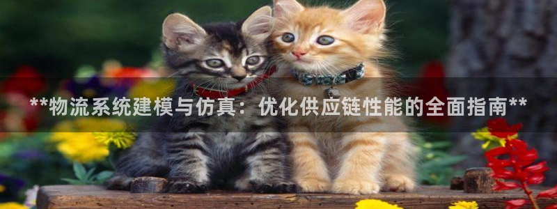 28圈那个才是充值账号：**物流系统