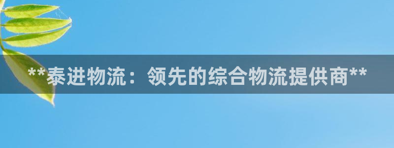 28圈麻将：**泰进物流：领先的综合