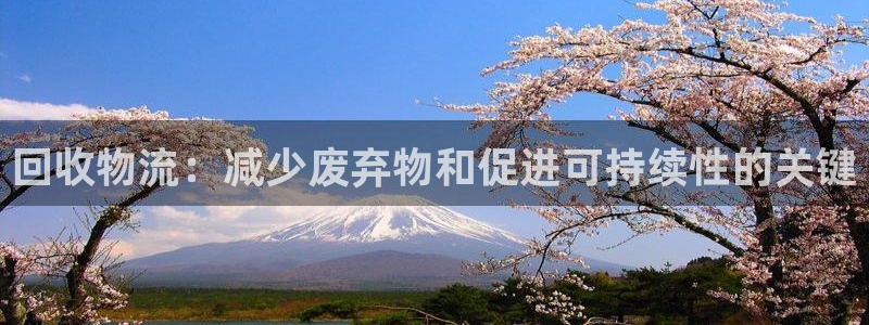 28圈怎么下载教程：回收物流：减少废