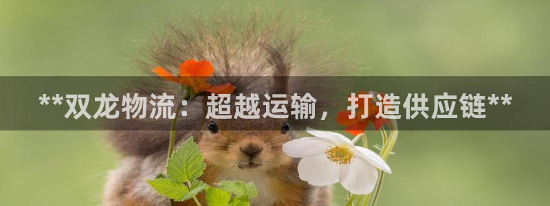 28圈电子