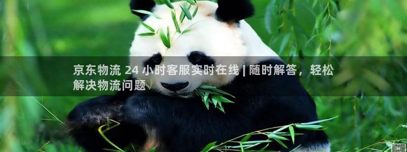 28圈官网链接：京东物流 24 小时
