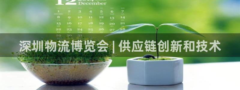 28圈机器人是什么软件：深圳物流博览