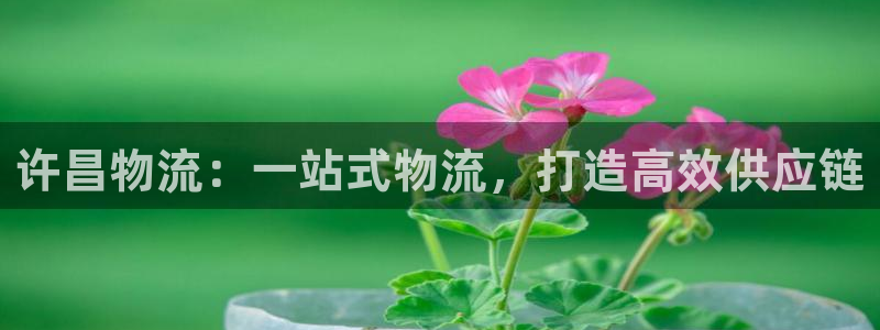 28圈软件是诈骗吗