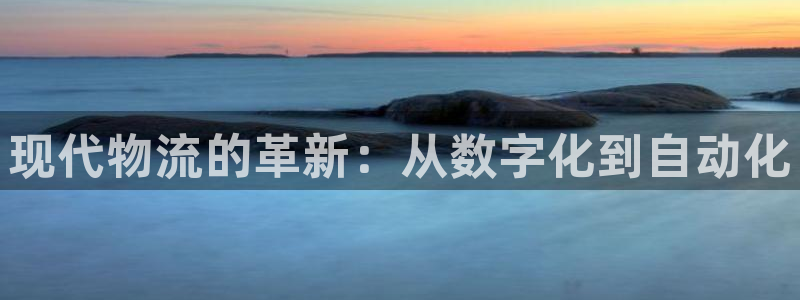28圈注册：现代物流的革新：从数字化