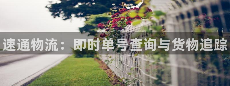 28圈娱乐官网网页：速通物流：即时单