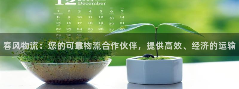 28圈充值不到账怎么回事：春风物流：