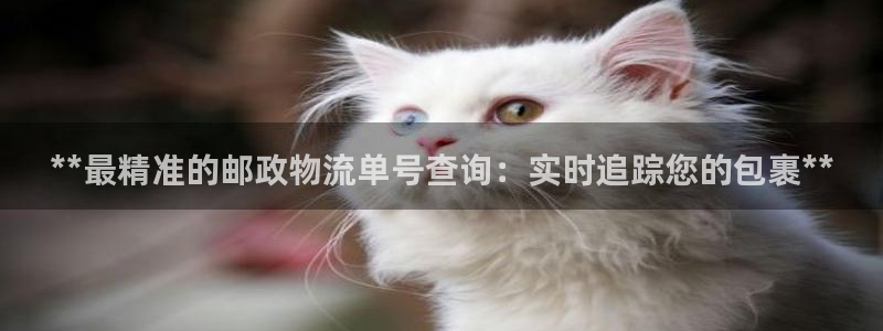 28圈充值不处理：**最精准的邮政物