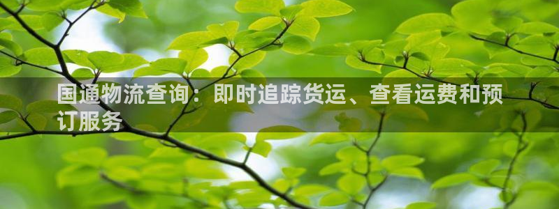 28圈正规吗?：国通物流查询：即时追