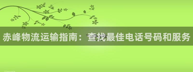 28圈充值不处理会怎么样：赤峰物流运