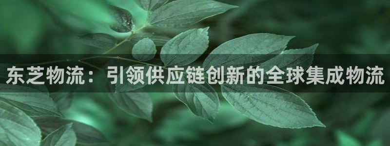 28圈和南宫28什么关系：东芝物流：
