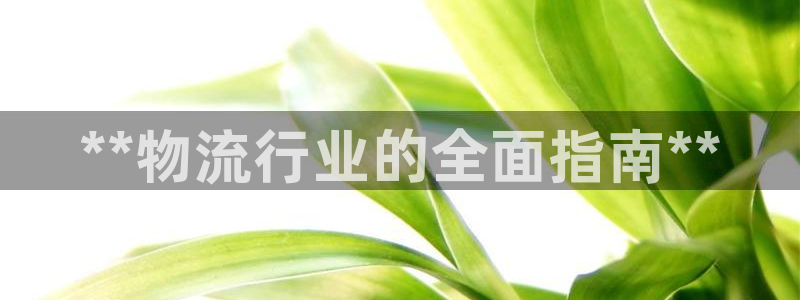28圈正规吗?：**物流行业的全面指