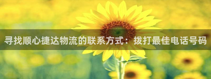 28圈正规吗：寻找顺心捷达物流的联系