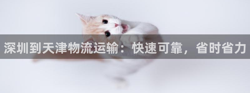 28圈旗下：深圳到天津物流运输：快速