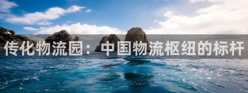 28圈技巧：传化物流园：中国物流枢纽
