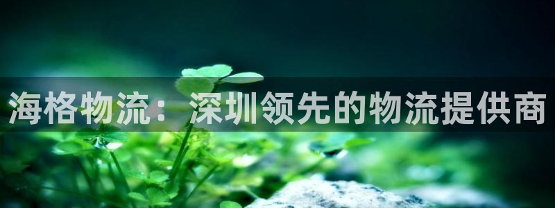 28圈注册二维码：海格物流：深圳领先