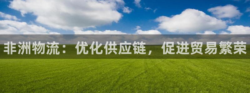 28圈v6能卖多少：非洲物流：优化供