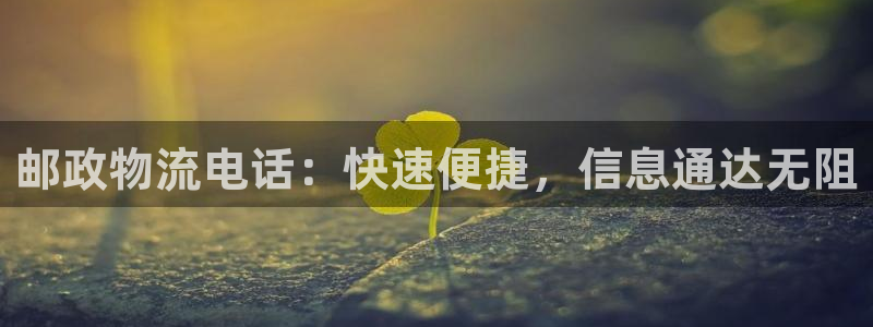 28圈下载二维码