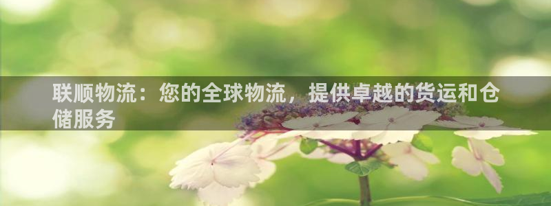 28圈注册上限是啥意思：联顺物流：您