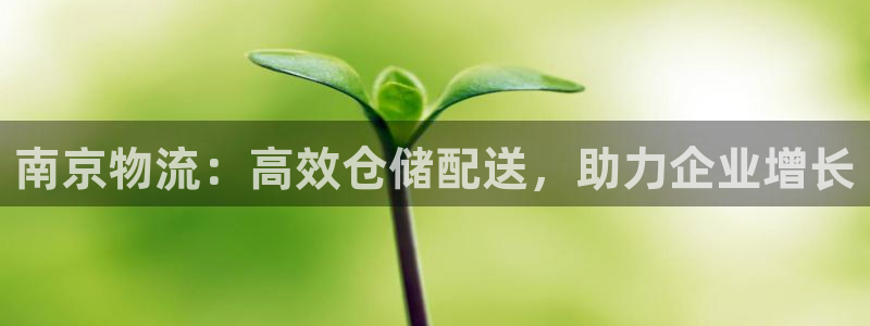 28圈注册步骤：南京物流：高效仓储配