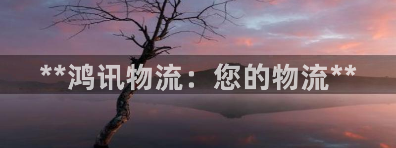 28圈软件：**鸿讯物流：您的物流*