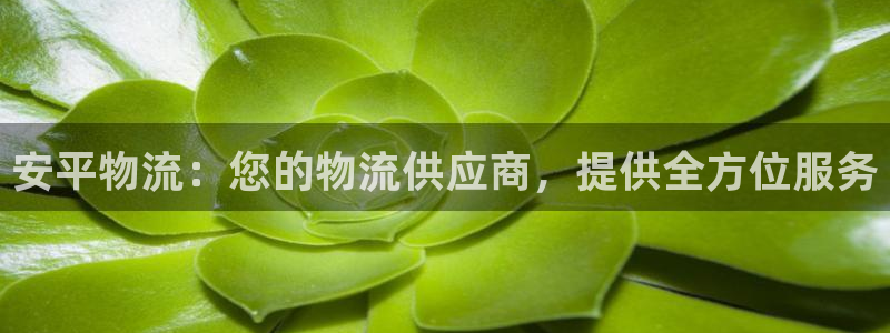 28圈h5链接：安平物流：您的物流供