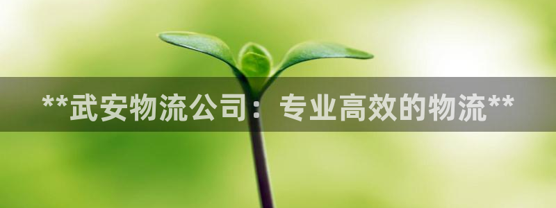 28圈：**武安物流公司：专业高效的