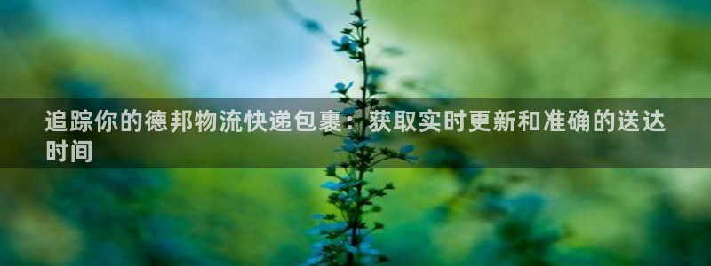 28圈注册官网：追踪你的德邦物流快递
