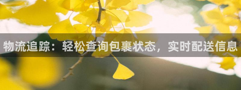 28圈如何退款：物流追踪：轻松查询包