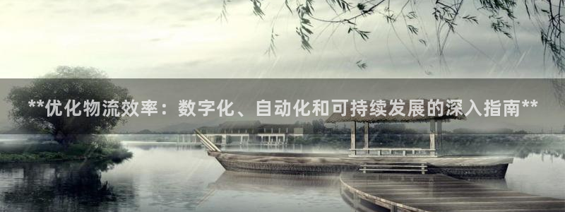 28圈注册流程：**优化物流效率：数