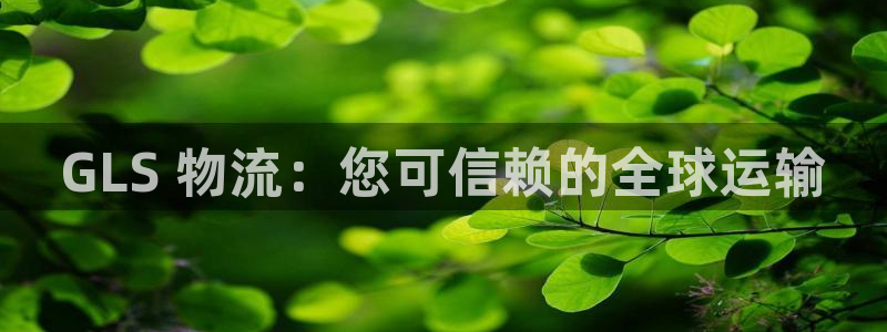28圈客服一直不回消息怎么办：GLS