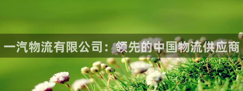 28圈软件堵什么反什么：一汽物流有限