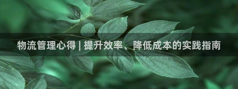 28圈官方网站预测：物流管理心得 |