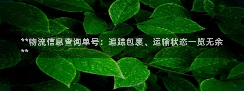 28圈麻将胡了爆分视频：**物流信息
