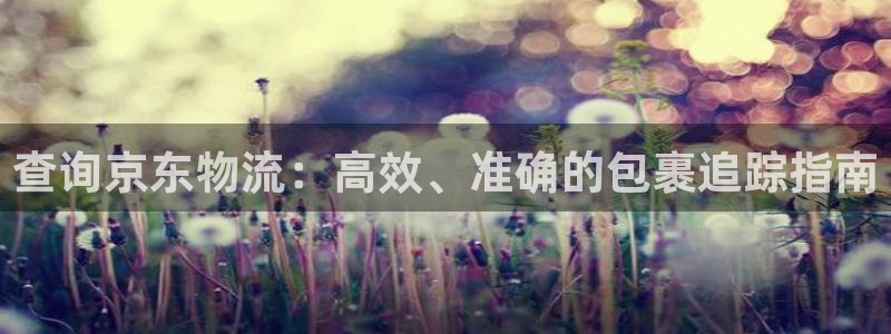 28圈下载二维码